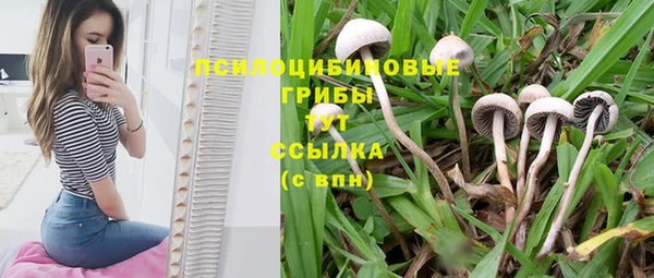СК Алзамай