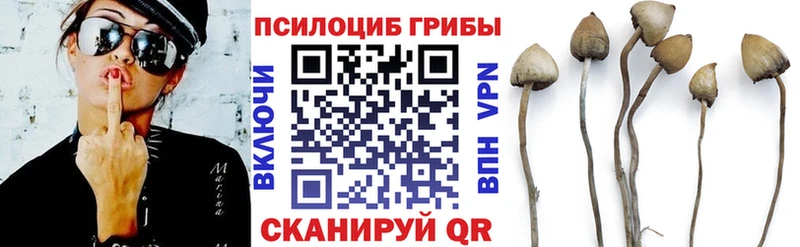 Псилоцибиновые грибы мицелий  цена   Сясьстрой 